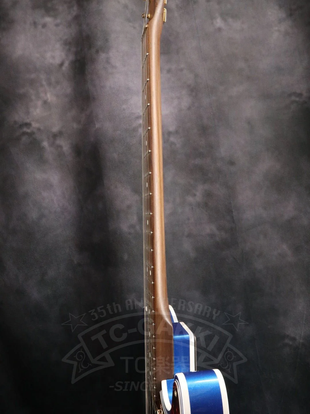 TE-C Rosewood Neck - Image 10