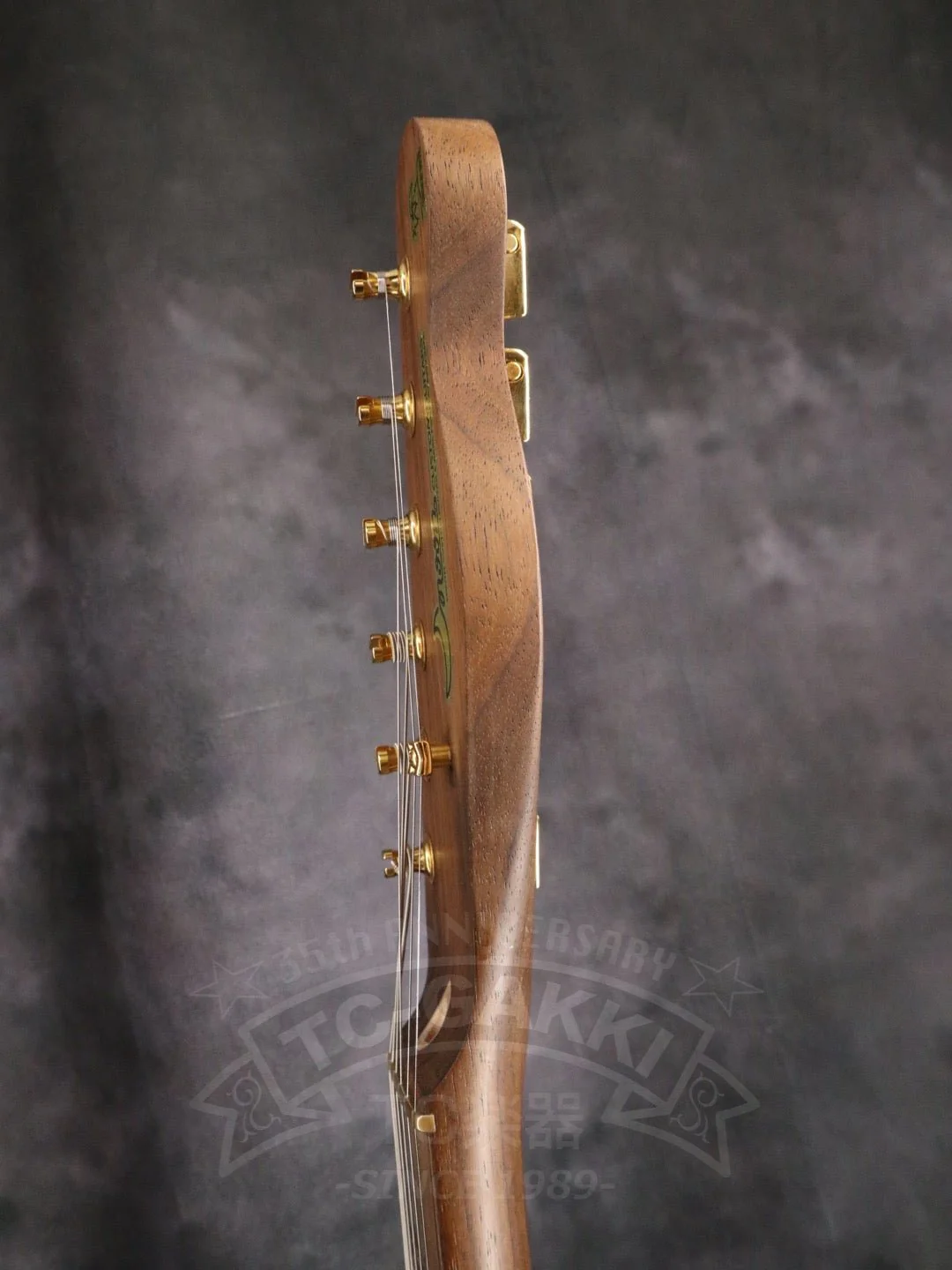 TE-C Rosewood Neck - Image 11