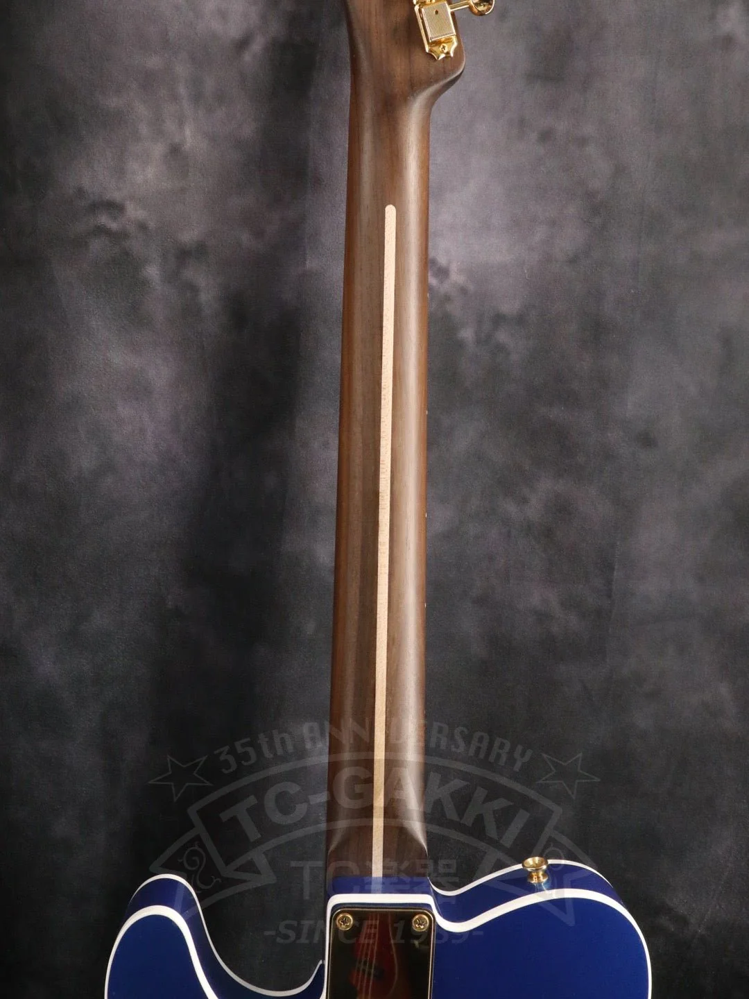 TE-C Rosewood Neck - Image 14