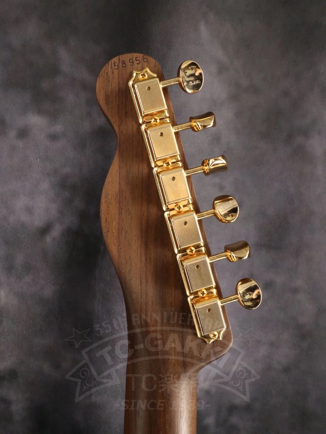 TE-C Rosewood Neck - Image 15