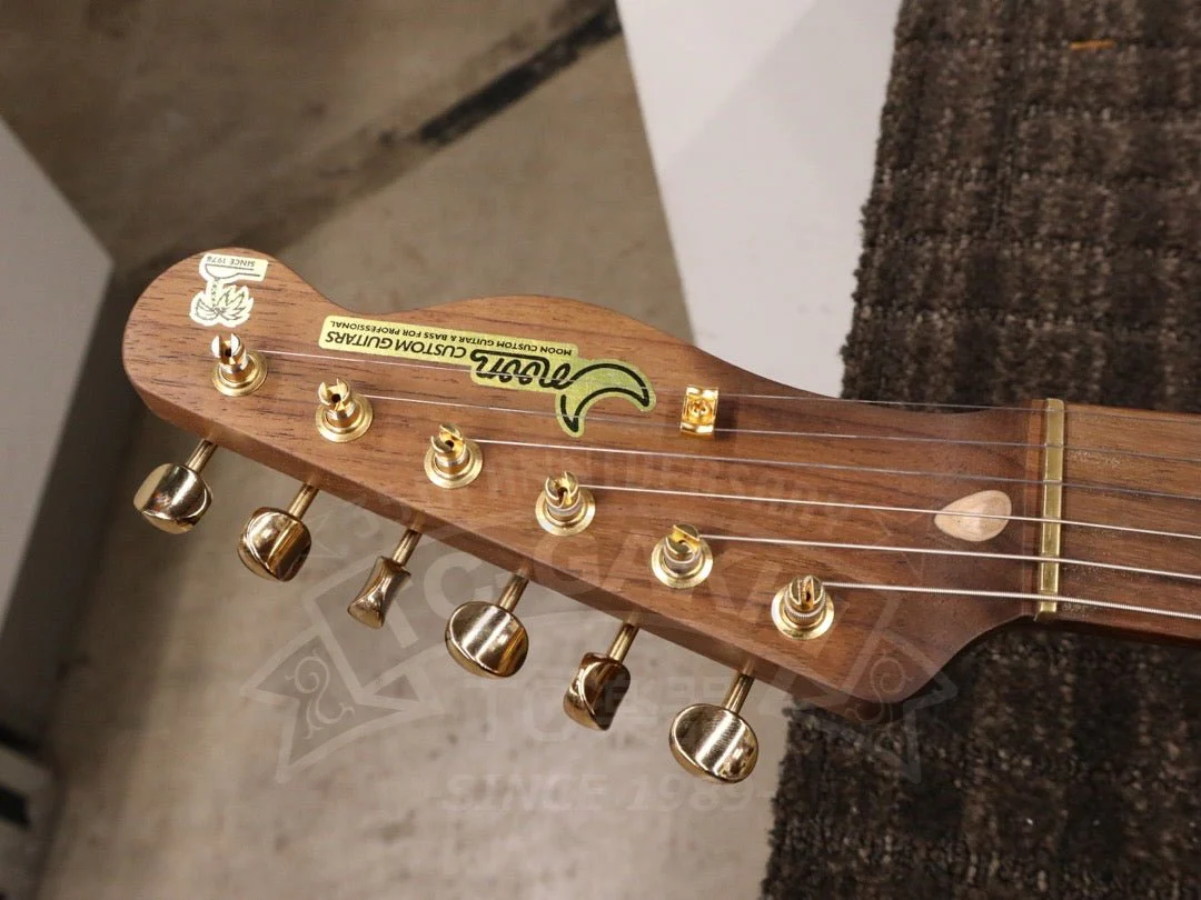 TE-C Rosewood Neck - Image 16
