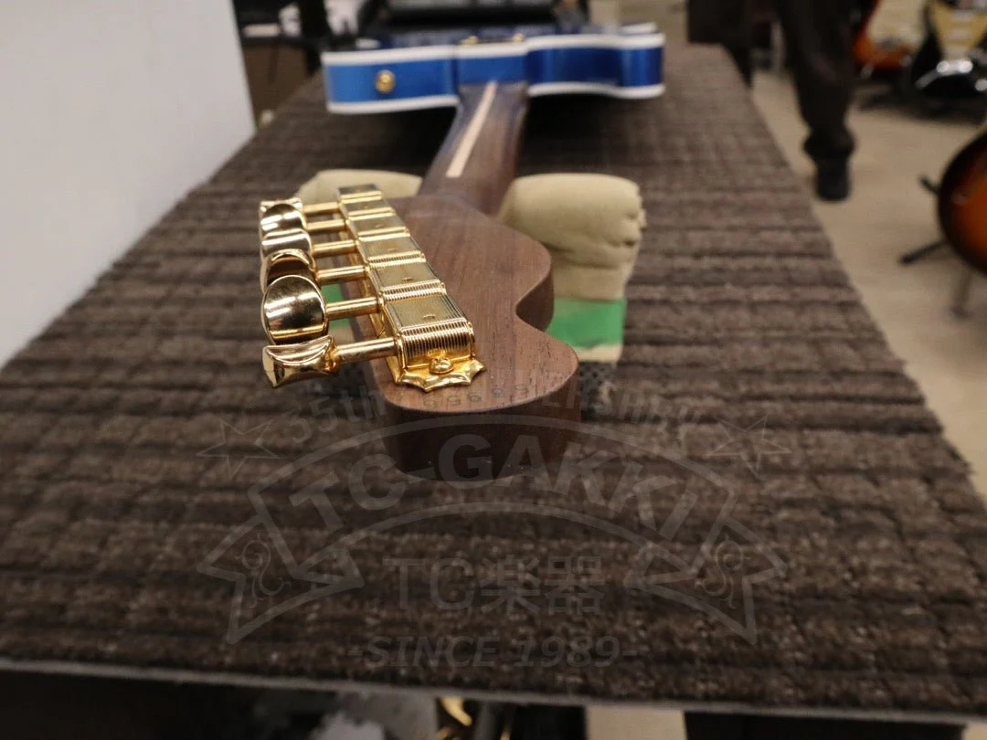 TE-C Rosewood Neck - Image 20