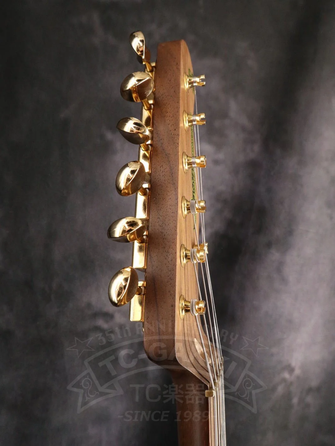 TE-C Rosewood Neck - Image 8