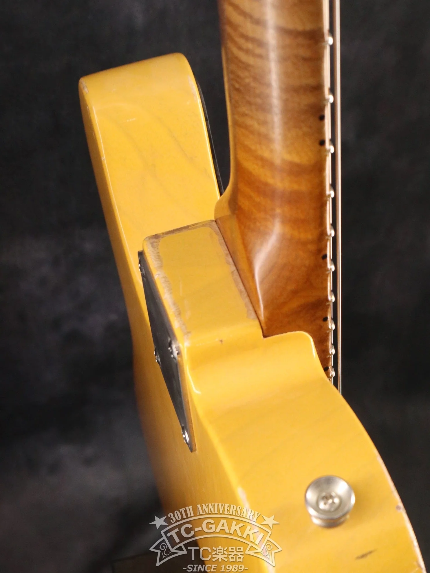 TMG Guitar Gatton Butterscotch - Image 13