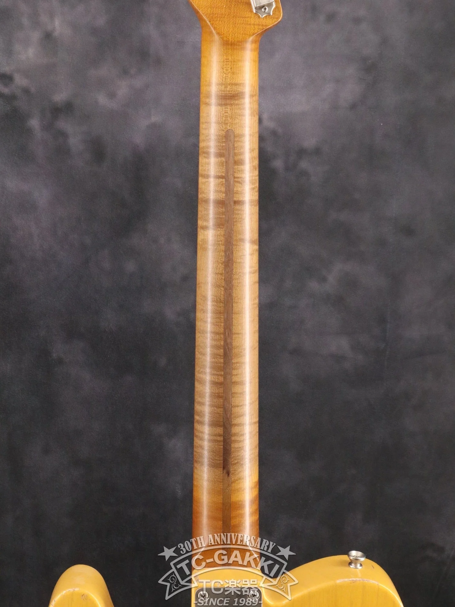 TMG Guitar Gatton Butterscotch - Image 27
