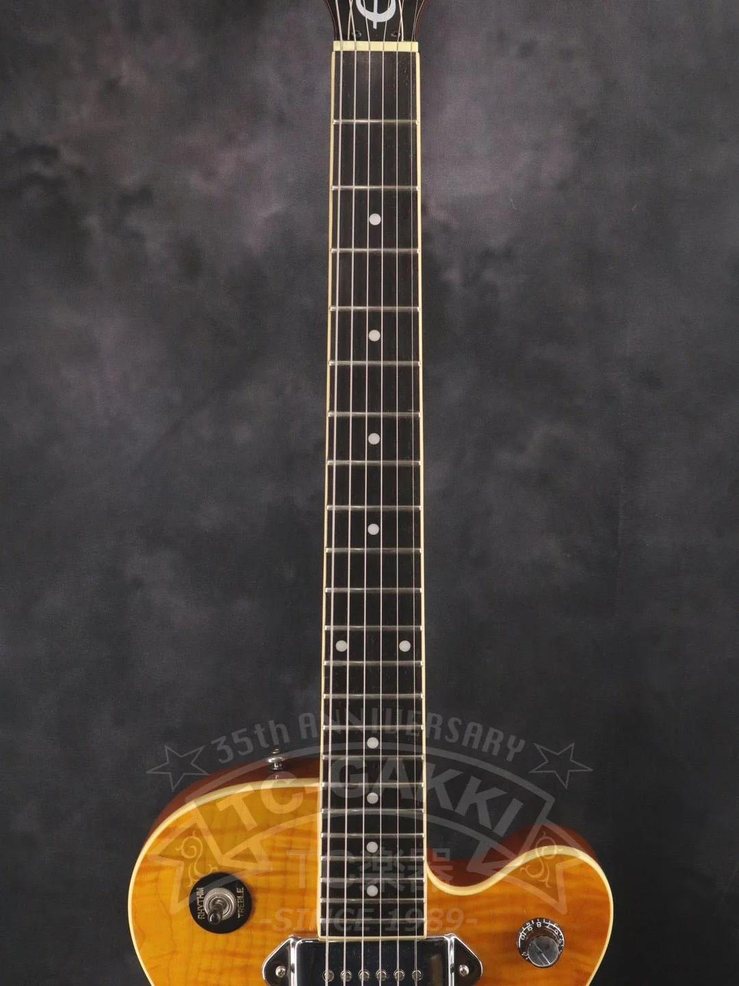 Wildkat - Image 3