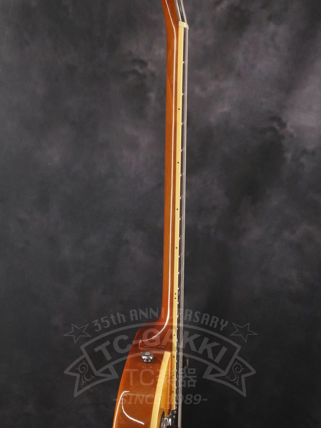 Wildkat - Image 6