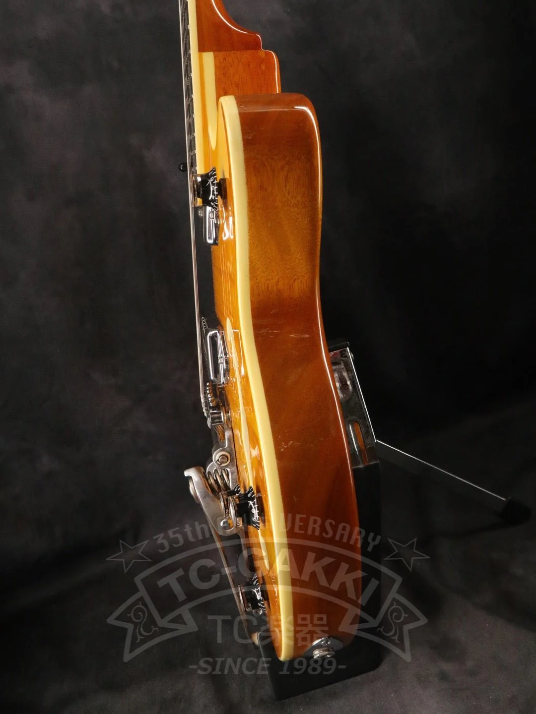 Wildkat - Image 8
